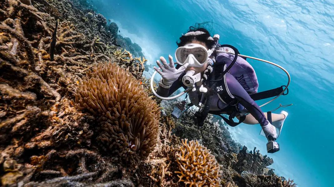 Recreational diving excursion organized by the resort Crystal Resort