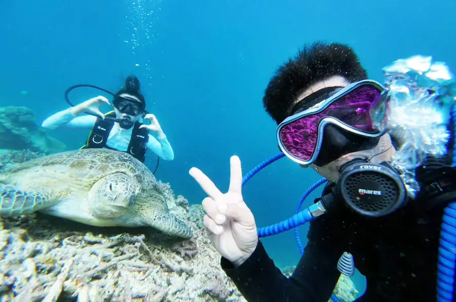 Scuba diving activity exploring the local marine life Crystal Resort